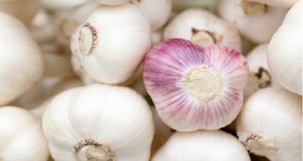 Every Morning Put a Clove of Garlic in The Mouth – Here’s Why…