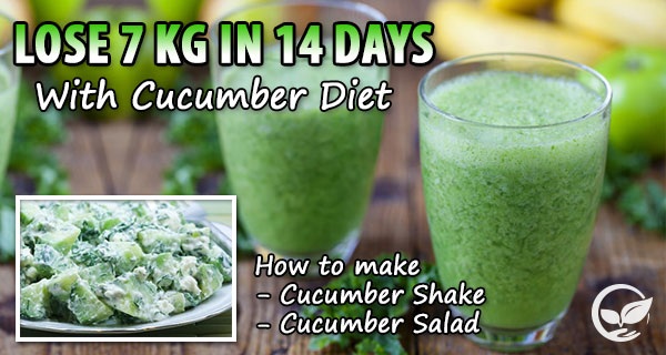 Lose 7 Kg In 14 Days with Cucumber Diet (Cucumber Shake and Cucumber Salad)