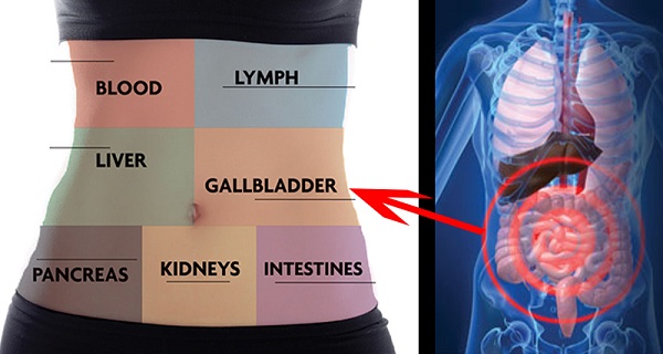 How to Detox Each Organ to Never Be Sick or Tired Again
