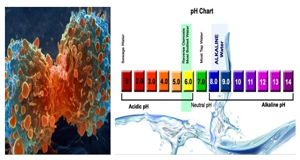 Alkaline Water Prevents Many Chronic Diseases Including Cancer. This Is How to Make It.