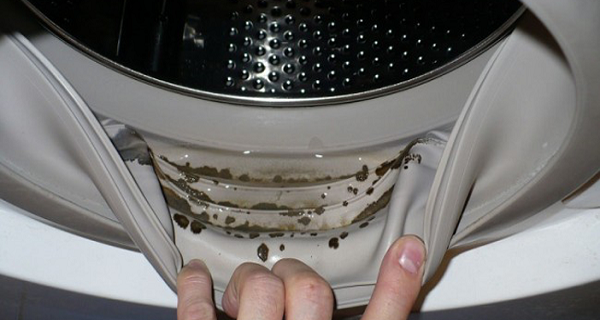 How to Remove Dangerous Mold and Smells from Your Washing Machine