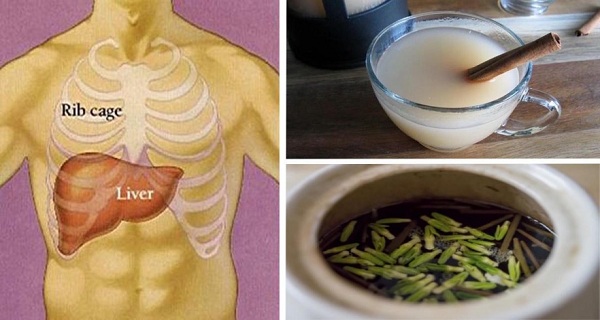 The 8 Most Effective Nighttime Drinks For Quick Liver Detoxing and Fat Burning