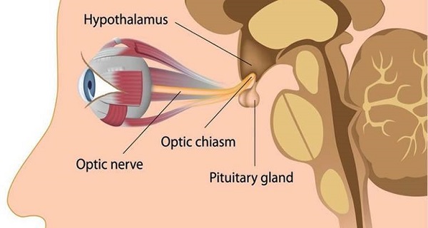 8-Simple-Tricks-to-Improve-Your-Eyesight-Without-Laser-Surgery-or-Glasses