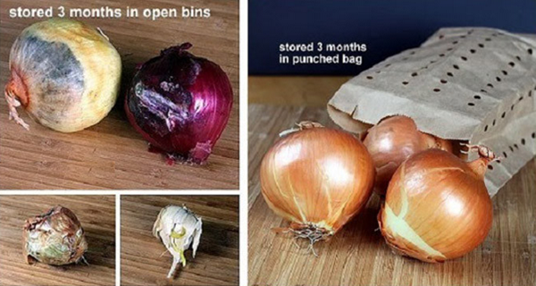 How-To-Store-Your-Garlic-Onions-So-They-Last-For-Months