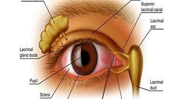 Throw Away Your Glasses And Improve Your Vision With Vitamin Bomb from the World Renowned Academic Filatov