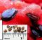 After Reading This, You Will Never Throw Watermelon Seeds Again!