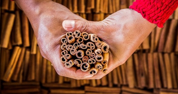 Do You Know Where Cinnamon Comes From After Watching This Video, You Will Never See It The Same Way Again!
