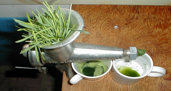 incredible-skin-and-oral-care-benefits-of-wheatgrass