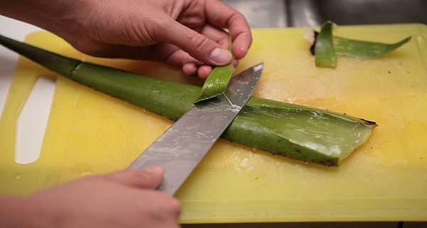 never-take-aloe-vera-gel-if-you-suffer-from-any-of-the-following-conditions