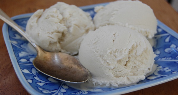 the-creamiest-easiest-healthiest-sugar-free-coconut-ice-cream