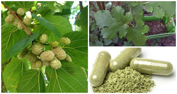 This-Plant-Is-Everywhere-But-You-Had-No-Idea-It-Can-Treat-Tumors-Diabetes-And-High-Blood-Pressure