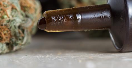 Watch What Happens When Cannabis Is Injected Into Cancer Cells. This Is Mind Blowing!