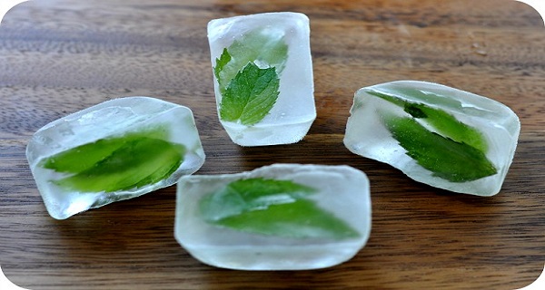 freeze-your-herbs-to-preserve-them-afresh